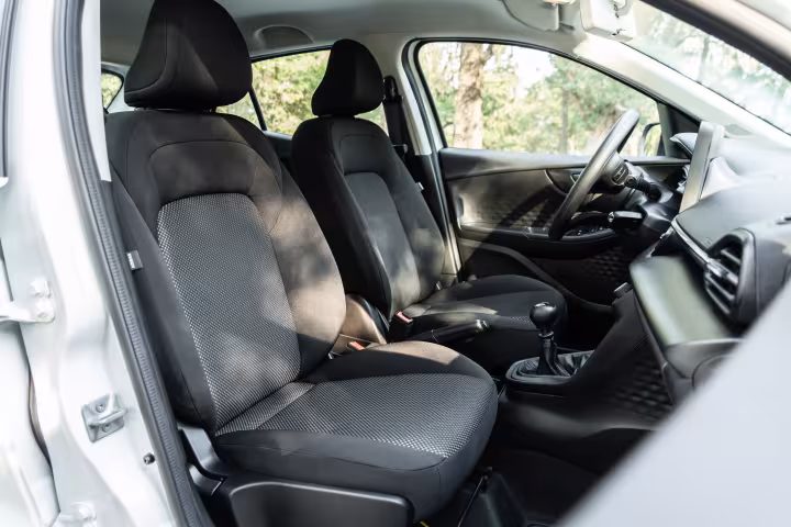 pulce drive
